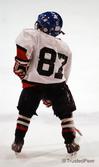 hockey_team_extension.jpg